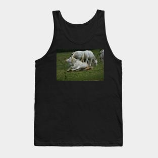 Wild Horse Tank Top